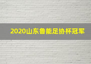 2020山东鲁能足协杯冠军