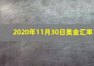 2020年11月30日美金汇率