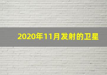 2020年11月发射的卫星