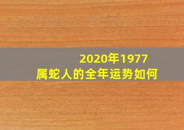 2020年1977属蛇人的全年运势如何