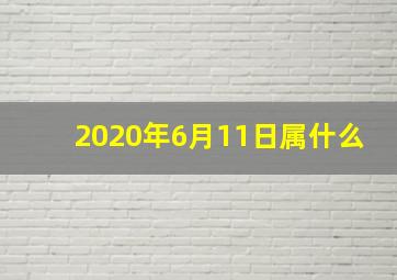 2020年6月11日属什么