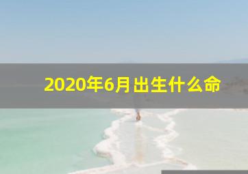 2020年6月出生什么命