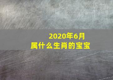 2020年6月属什么生肖的宝宝