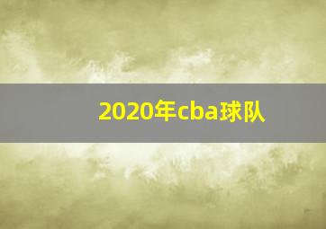 2020年cba球队