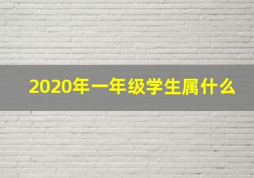 2020年一年级学生属什么