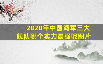 2020年中国海军三大舰队哪个实力最强呢图片