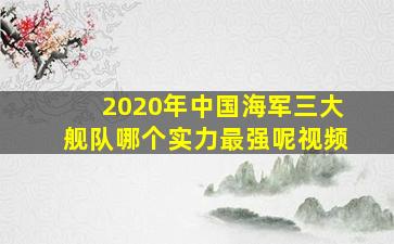 2020年中国海军三大舰队哪个实力最强呢视频