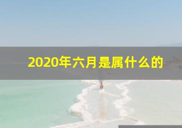 2020年六月是属什么的