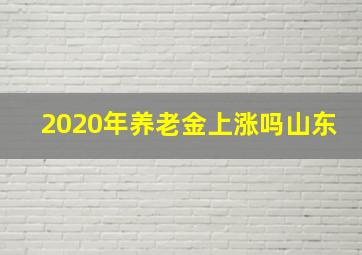 2020年养老金上涨吗山东