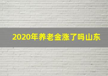 2020年养老金涨了吗山东