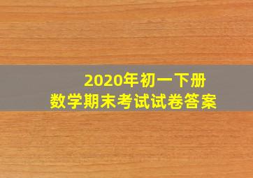 2020年初一下册数学期末考试试卷答案