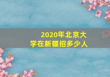 2020年北京大学在新疆招多少人