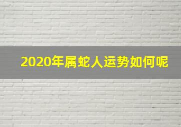 2020年属蛇人运势如何呢