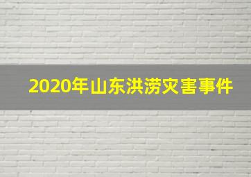 2020年山东洪涝灾害事件