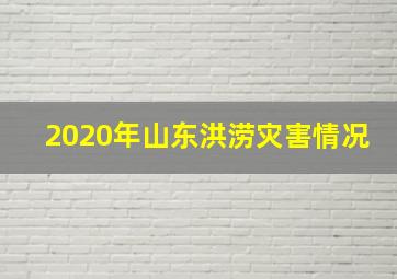 2020年山东洪涝灾害情况