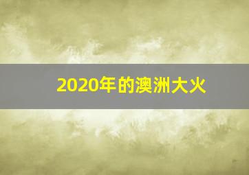 2020年的澳洲大火