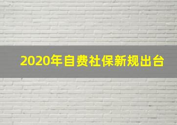 2020年自费社保新规出台