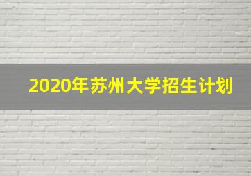 2020年苏州大学招生计划