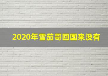 2020年雪茄哥回国来没有