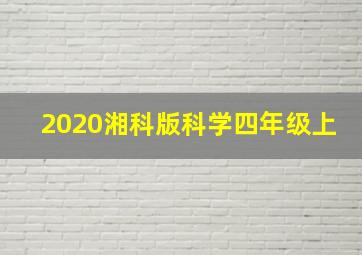 2020湘科版科学四年级上