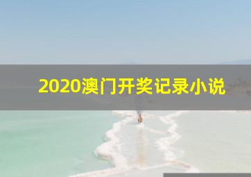 2020澳门开奖记录小说