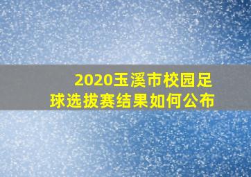 2020玉溪市校园足球选拔赛结果如何公布