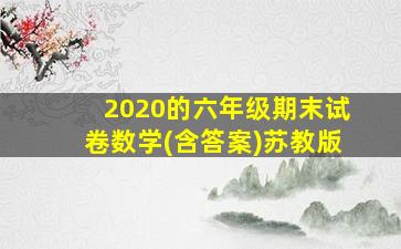 2020的六年级期末试卷数学(含答案)苏教版