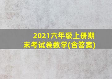 2021六年级上册期末考试卷数学(含答案)