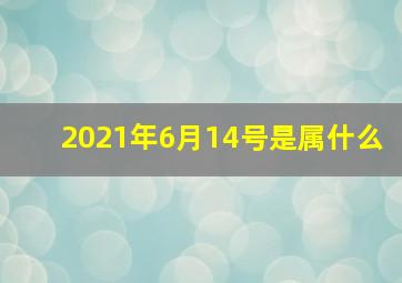 2021年6月14号是属什么