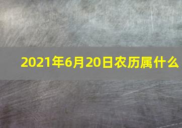 2021年6月20日农历属什么