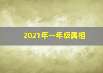 2021年一年级属相