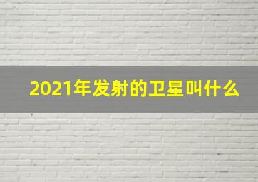 2021年发射的卫星叫什么