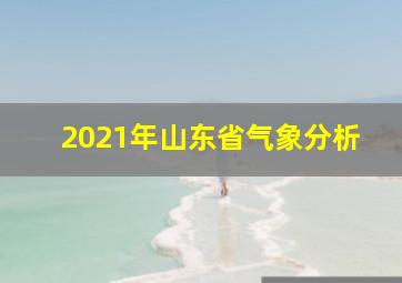 2021年山东省气象分析