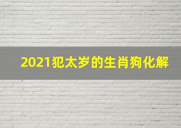 2021犯太岁的生肖狗化解