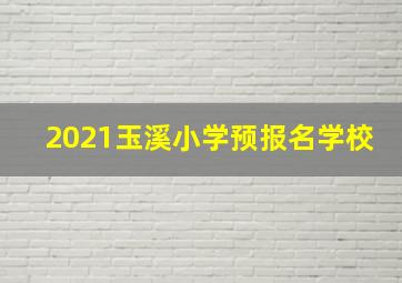 2021玉溪小学预报名学校