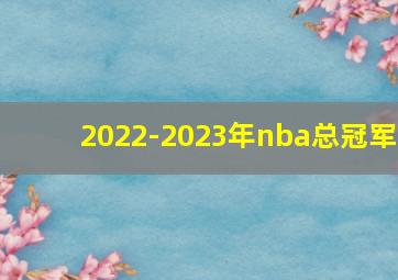 2022-2023年nba总冠军