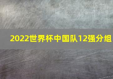 2022世界杯中国队12强分组