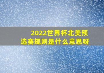 2022世界杯北美预选赛规则是什么意思呀