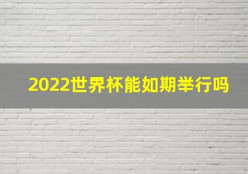 2022世界杯能如期举行吗