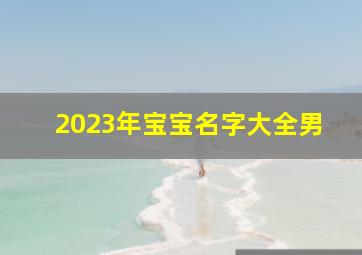 2023年宝宝名字大全男