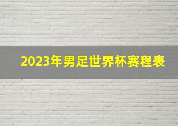 2023年男足世界杯赛程表