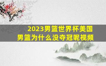 2023男篮世界杯美国男篮为什么没夺冠呢视频