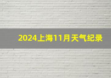 2024上海11月天气纪录