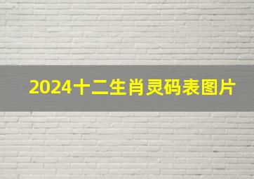 2024十二生肖灵码表图片