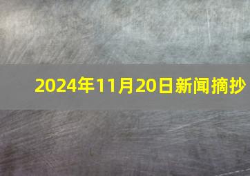 2024年11月20日新闻摘抄