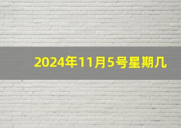 2024年11月5号星期几