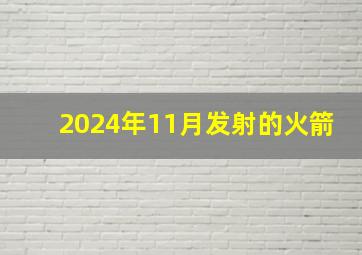 2024年11月发射的火箭