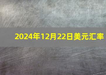 2024年12月22日美元汇率