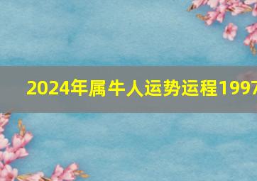 2024年属牛人运势运程1997