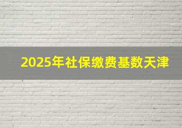 2025年社保缴费基数天津